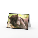 Black Panther Sleeping Greeting Card
