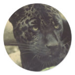 Black Panther Stickers