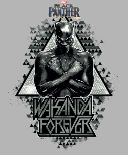 Wakanda Forever Wallpaper Hd New Wallpapers