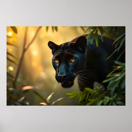 Black Panther Wild Jungle Leopard Big Cat  Poster