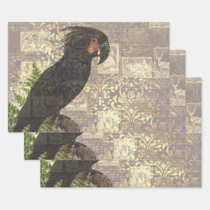 Black Parrot with Damask and Newsprint Wrapping Paper Sheets