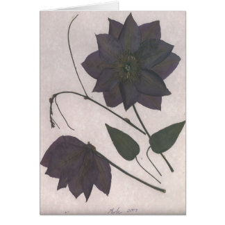 Black Passion Cards