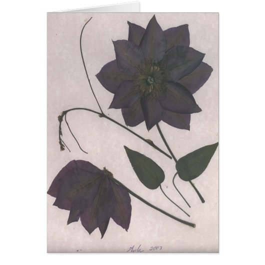 Black Passion Cards (Front)