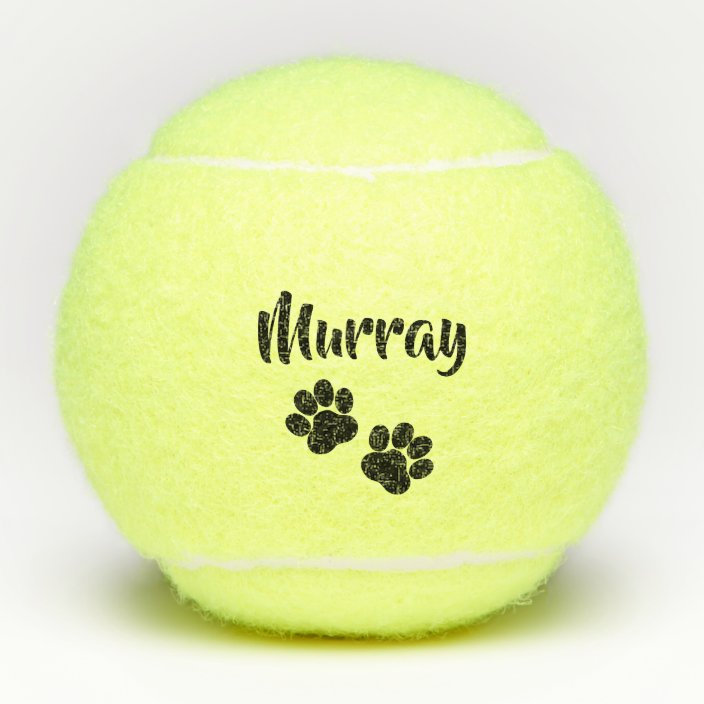 personalized tennis balls for dogs