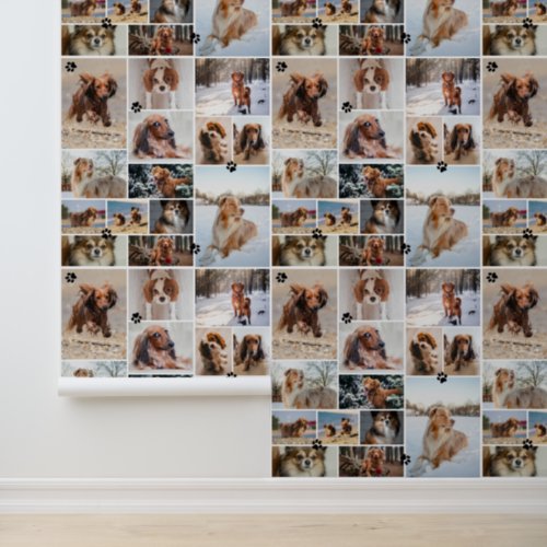 Black Paw Prints Your Dog 14 Photos Pattern Wallpaper