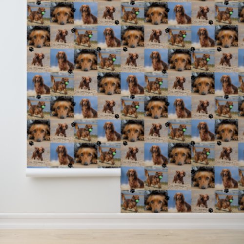 Black Paw Prints Your Dog 4 Photos Pattern Wallpaper