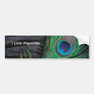Black Peacock Feather Bumper Sticker