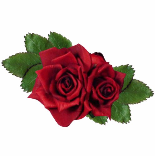 Black Pearl Roses Magnet