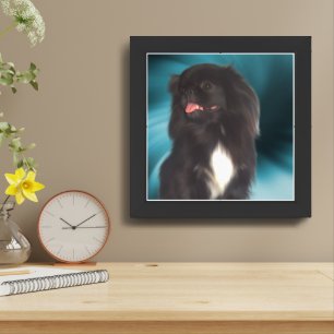 Black Pekingese Blue Swirls Dog Art Framed