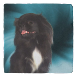 Black Pekingese Dog Animal Art Trivet