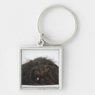 Black Pekingese dog lying down Keychain