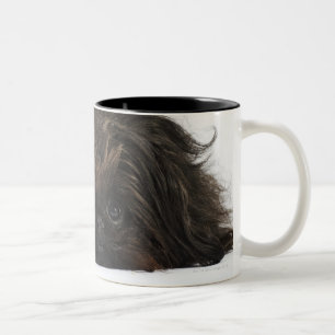 Black Pekingese dog lying down Two-Tone Coffee Mug