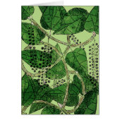 Black Pepper Plant, 1578 (Front)