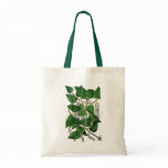 Black Pepper Plant, 1578 Tote Bag Black Pepper Plant, 1578 Tote Bag