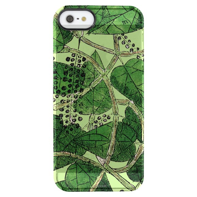 Black Pepper Plant, 1578 Uncommon iPhone Case (Back)