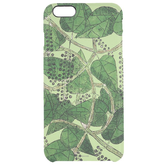 Black Pepper Plant, 1578 Uncommon iPhone Case (Back)