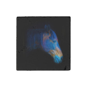 Black Percheron Horse Horse-lovers Equine Photo Stone Magnet