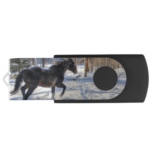 Black Percheron in Winter on a Horse Ranch USB Flash Drive