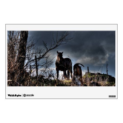 Black Percheron Stallion  Storm Ranch Horse Photo Wall Sticker