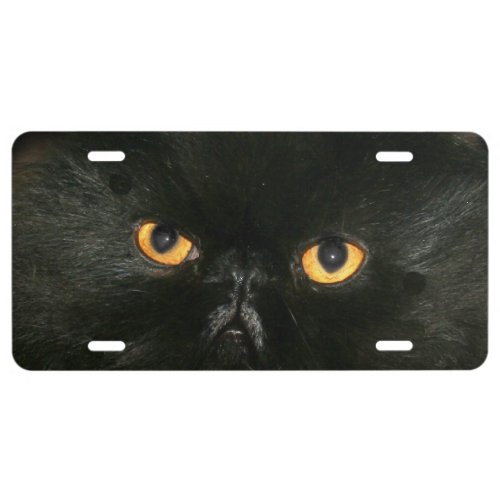 Black persian cat eyes license plate