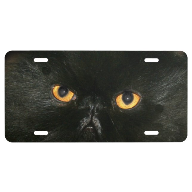 Black persian cat eyes license plate (Front)