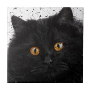 Black Persian Face Tile