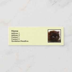 Black Persian Kitten Skinny business cards