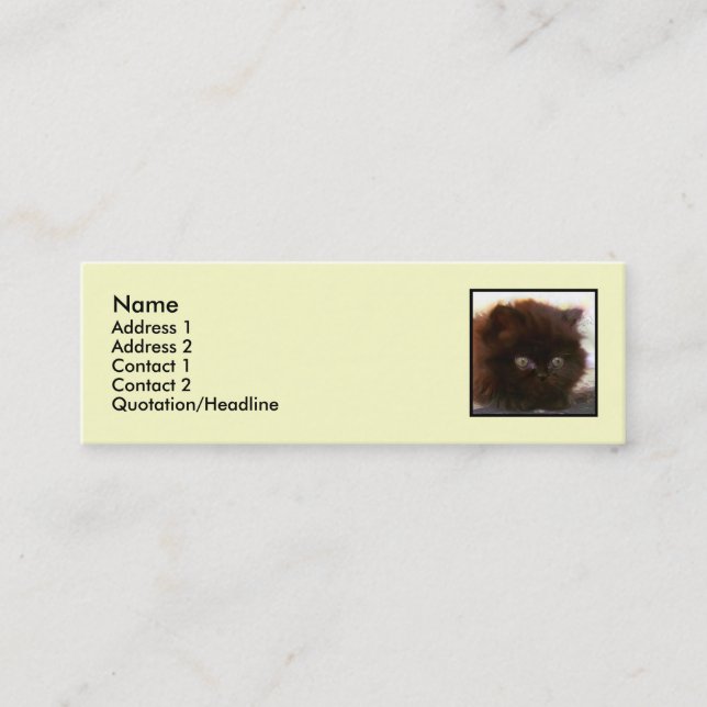 Black Persian Kitten Skinny business cards (Front)