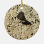 Black Phoebe Ceramic Ornament at Zazzle