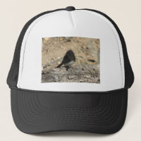 Black Phoebe Custom Photo Trucker Hat