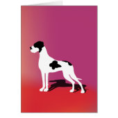 Black Piebald Great Dane (Front)