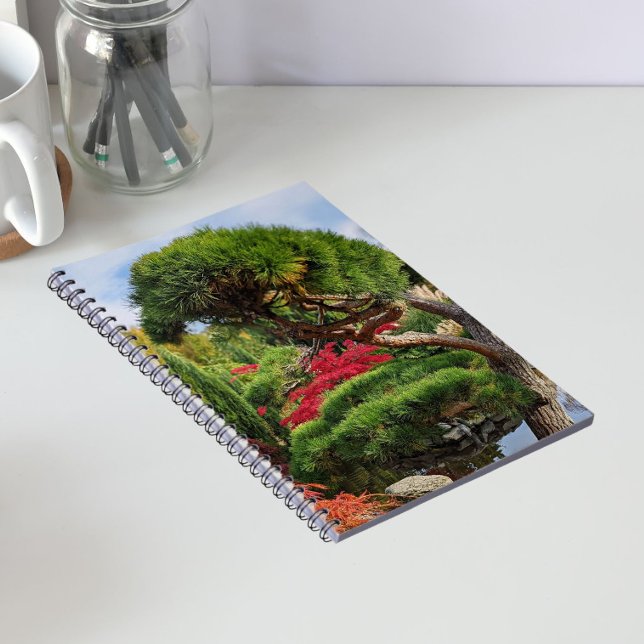 Black Pine and Red Japanese Maple Tree Notebook (In Situ)