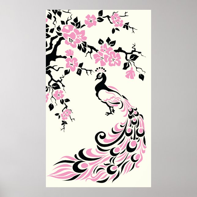 Black pink peacock and cherry blossoms poster (Front)