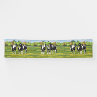 Black Pinto Paint Quarter Horses In Summer Pasture Banner
