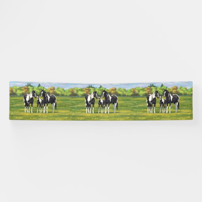 Black Pinto Paint Quarter Horses In Summer Pasture Banner (Horizontal)