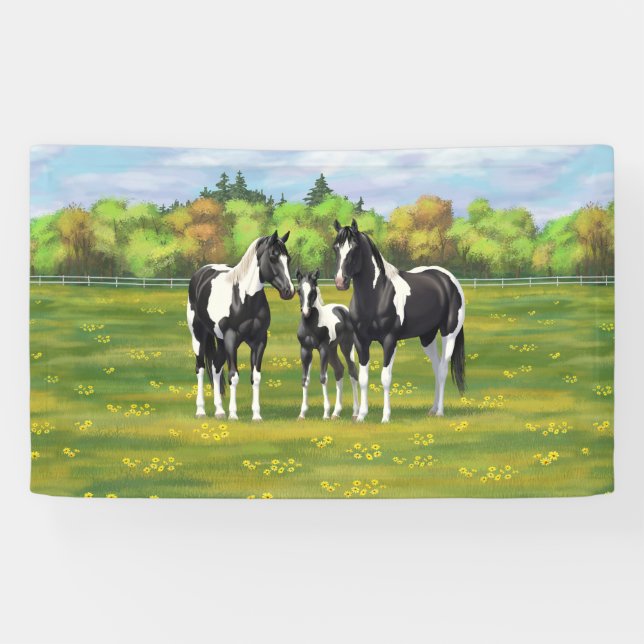 Black Pinto Paint Quarter Horses In Summer Pasture Banner (Horizontal)