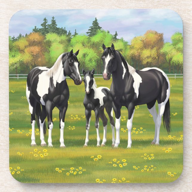 Black Pinto Paint Quarter Horses In Summer Pasture Beverage Coaster (Front)