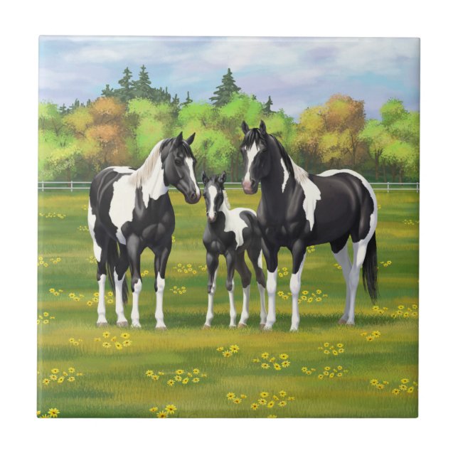 Black Pinto Paint Quarter Horses In Summer Pasture Ceramic Tile (Front)