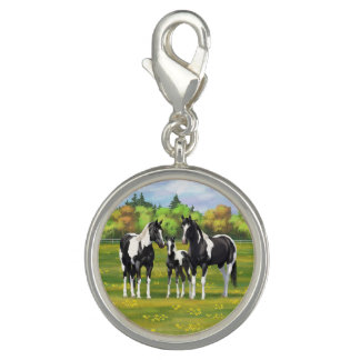 Black Pinto Paint Quarter Horses In Summer Pasture Charm