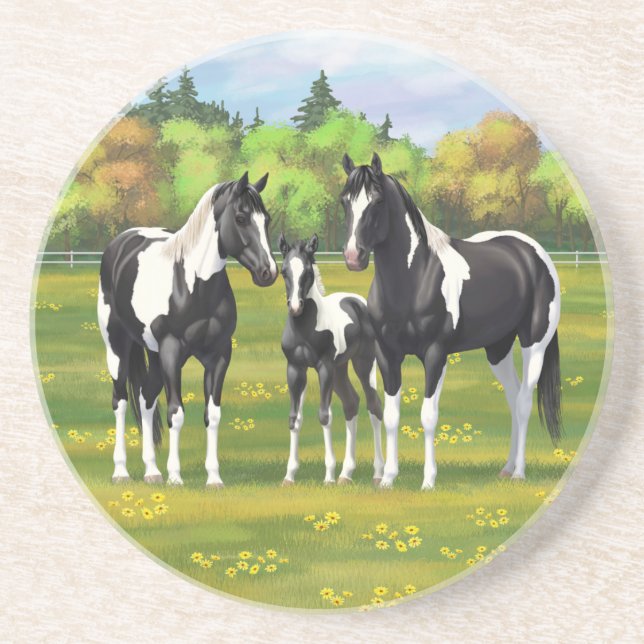 Black Pinto Paint Quarter Horses In Summer Pasture Coaster (Front)