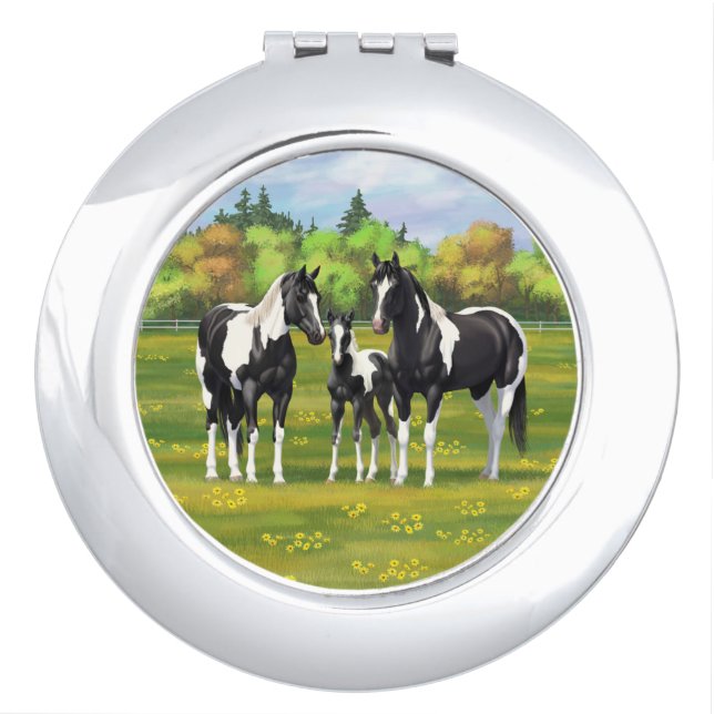 Black Pinto Paint Quarter Horses In Summer Pasture Compact Mirror (Front)