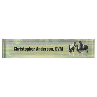 Black Pinto Paint Quarter Horses In Summer Pasture Desk Name Plate