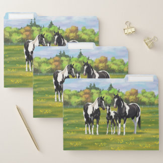 Black Pinto Paint Quarter Horses In Summer Pasture File Folder