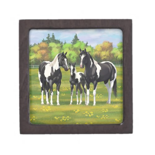 Black Pinto Paint Quarter Horses In Summer Pasture Gift Box