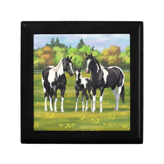 Black Pinto Paint Quarter Horses In Summer Pasture Gift Box (Front)