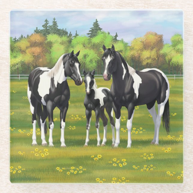 Black Pinto Paint Quarter Horses In Summer Pasture Glass Coaster (Front)