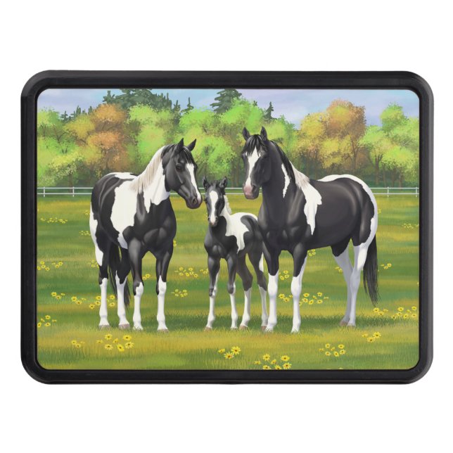 Black Pinto Paint Quarter Horses In Summer Pasture Hitch Cover (Front)