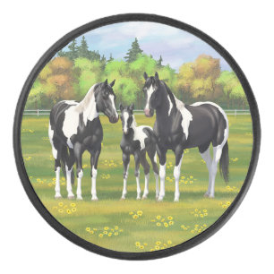 Black Pinto Paint Quarter Horses In Summer Pasture Hockey Puck