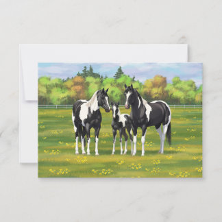 Black Pinto Paint Quarter Horses In Summer Pasture Invitation
