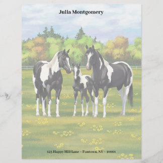 Black Pinto Paint Quarter Horses In Summer Pasture Letterhead
